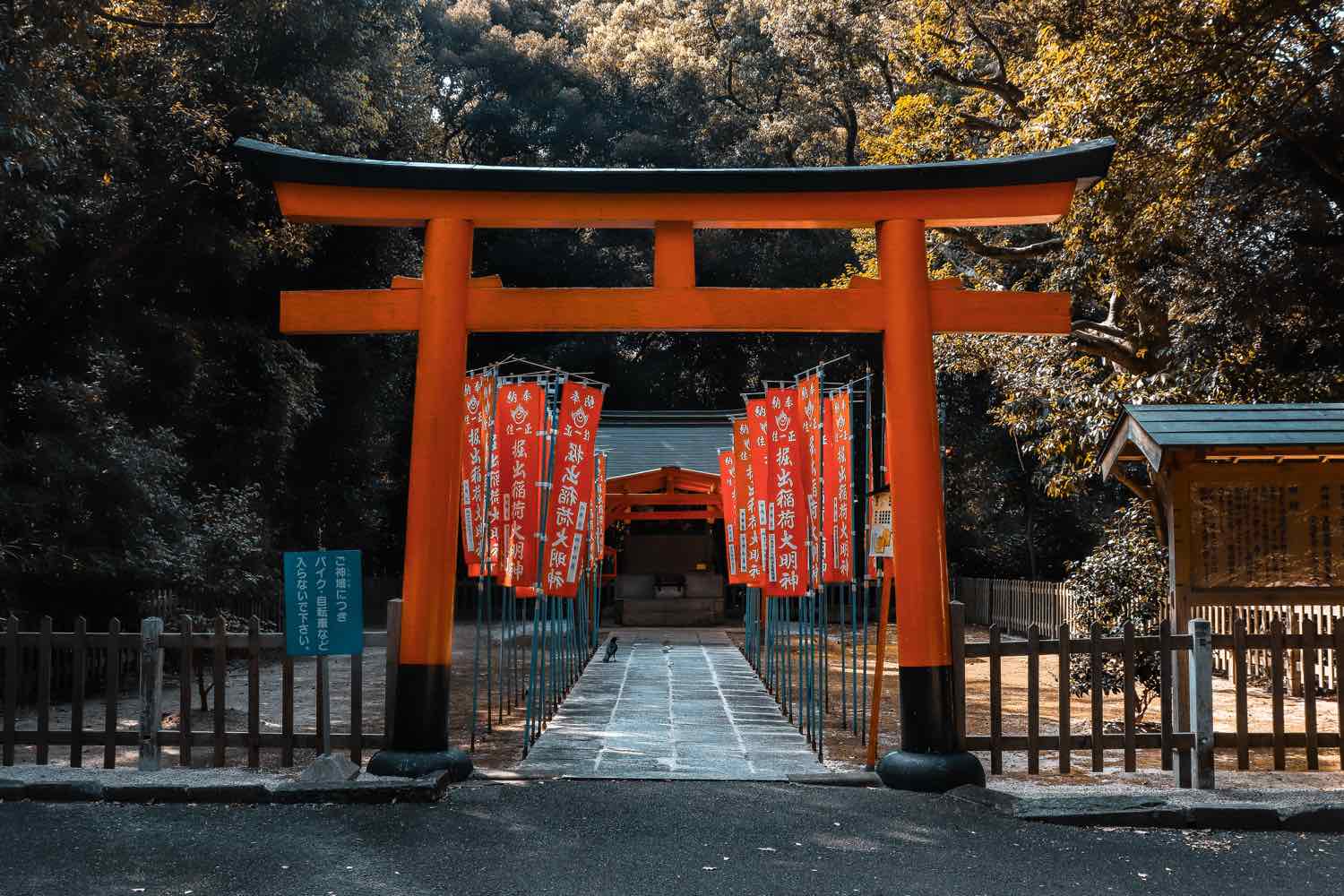 كيف تتصرف في زيارة اليابان ؟