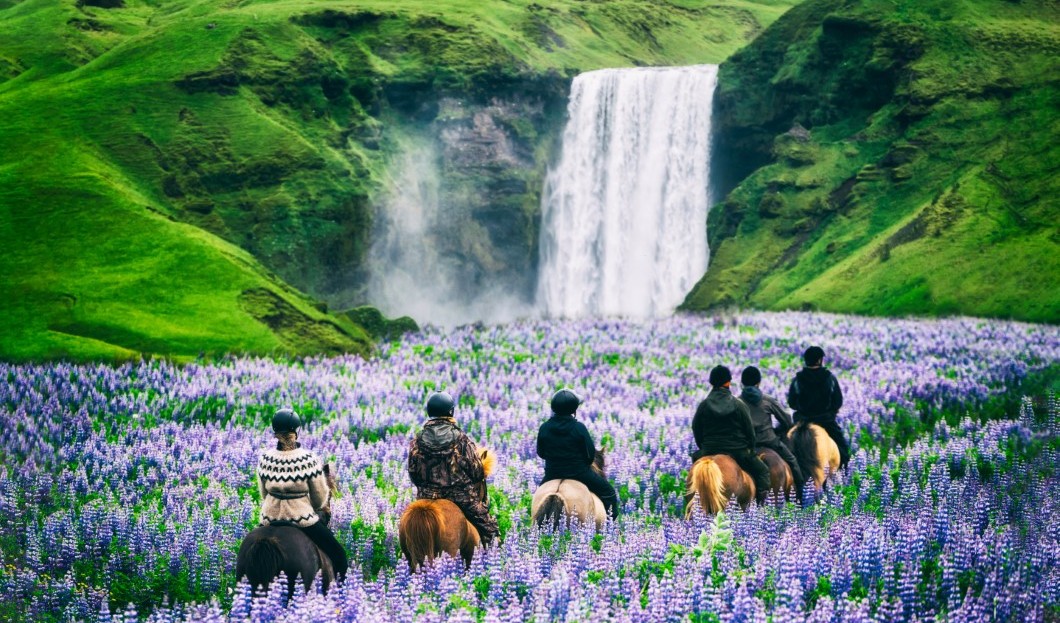 السياحة في أيسلندا: في مواجهة الصدمات